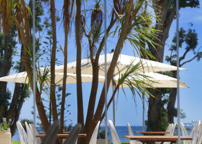 hotel-san-luccianu-terrasse palmier